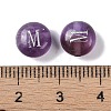 Natural Amethyst Beads G-L524-20M-03-3