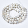 Natural White Moonstone Beads Strands G-N328-51A-01-3