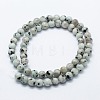 Natural Sesame Jasper/Kiwi Jasper Beads Strands G-I199-29-12mm-2