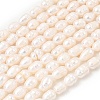 Natural Cultured Freshwater Pearl Beads Strands PEAR-F020-05C-2