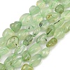 Natural Prehnite Beads Strands G-R445-8x10-25-01-2