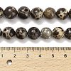 Natural Astroite Jasper Beads Strands G-F814-A01-10mm-5