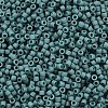 MIYUKI Delica Beads X-SEED-J020-DB2407-2