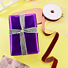 10 Yards Polyester Velvet Ribbon OCOR-TA0004-13E-7