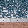 MIYUKI Delica Beads SEED-J020-DB0792-4