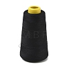 3000M Polyester Machine Embroidery Threads FB-CBA5736-01E-1
