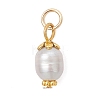 Natural Cultured Freshwater Pearl Pendants PALLOY-JF05029-3