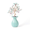 Natural & Synthetic Gemstone Chips with Brass Wrapped Wire Money Tree on Ceramic Vase Display Decorations DJEW-B007-01C-2
