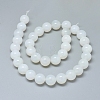 Natural White Agate Beads Strands X-G-D0005-27-12mm-2