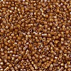 MIYUKI Delica Beads SEED-JP0008-DB1734-3