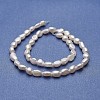Natural Cultured Freshwater Pearl Beads Strands PEAR-P060-23B-2