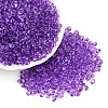 3/0 Baking Paint Glass Fringe Seed Beads SEED-A034-04F-3