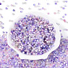 Drawbench Style Glass Seed Beads SEED-Q039-01G-2