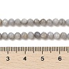 Natural Freshwater Shell Dyed Beads Strands SHEL-R100-12A-04-4