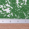 MIYUKI Delica Beads SEED-X0054-DB0724-4