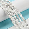 Natural Howlite Beads Strands G-M420-H14-03-2