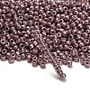 TOHO 8/0 Round Beads X-SEED-TR08-0133-3