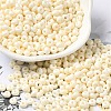 Baking Paint Glass Seed Beads X1-SEED-B001-02A-06-1