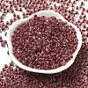 Transparent Glass Round Seed Beads SEED-B001-05A-21-2