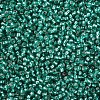 12/0 Grade A Round Glass Seed Beads SEED-Q007-F50-2