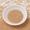 MIYUKI Delica Beads SEED-JP0008-DB0852-2