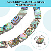 1 Strand Natural Abalone Shell/Paua Shell Beads Strands BSHE-BC0001-12-2