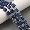 Natural Lapis Lazuli Beads Strands G-Z087-D01-1