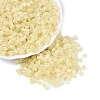 FGB Grade A Frosted Glass Seed Beads SEED-Q040-04A-10-2