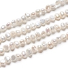 Natural Cultured Freshwater Pearl Beads Strands LS-PEAR-I004-08C-2