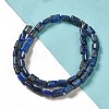 Natural Lapis Lazuli Beads Strands G-G085-A02-01-2