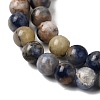 Natural Sodalite Beads Strands G-F591-13B-4