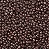 6/0 Glass Seed Beads SEED-L011-08A-08-3