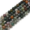 Natural Indian Agate Beads Strands G-A248-A01-01-2