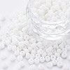 6/0 Glass Seed Beads SEED-T005-14-B16-3