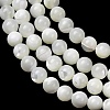 Natural Trochid Shell/Trochus Shell Beads Strands SH-CBA2978-16A-2