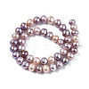 Natural Nucleated Pearl PEAR-S016-010-2