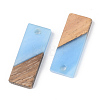 Resin & Walnut Wood Pendants RESI-S389-059A-3
