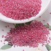 MIYUKI Delica Beads SEED-X0054-DB0075-1