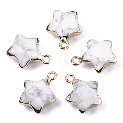 Natural Howlite Pendants G-N326-36L-1