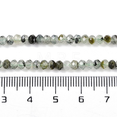 Natural Prehnite Beads Strands G-G139-B05-01-1