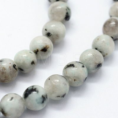 Natural Sesame Jasper/Kiwi Jasper Beads Strands G-I199-29-10mm-1