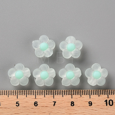 Transparent Acrylic Beads TACR-S152-06C-SS2111-1