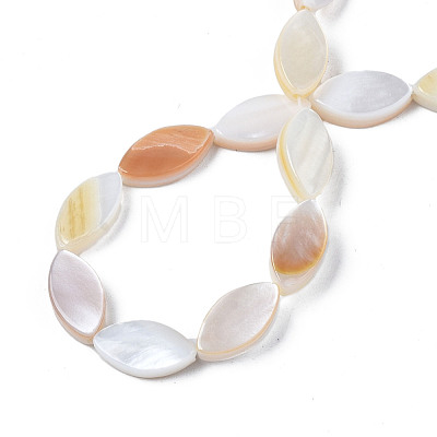 Natural Freshwater Shell Beads Strands SHEL-Q024A-017-1