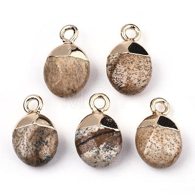 Natural Picture Jasper Charms G-N326-58D-1