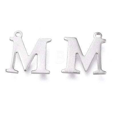 304 Stainless Steel Charms STAS-H112-M-P-1