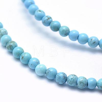 Natural Magnesite Beads Strands TURQ-G148-07-4mm-1