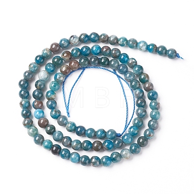 Natural Apatite Beads Strands X-G-L554-01-4mm-1