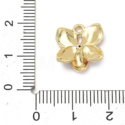 Brass Micro Pave Clear Cubic Zirconia Charms KK-CBA74BF-05G-01A-1