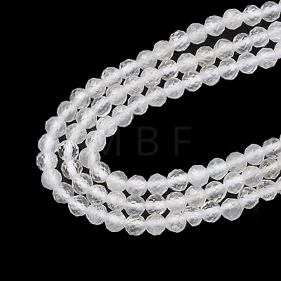 Natural Rainbow Moonstone Beads Strands G-G189-D20-02-1