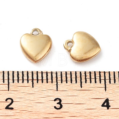 304 Stainless Steel Charms STAS-L022-377G-1